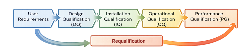 Linear flow diagram of the bioreactor qualification lifecycle showing User Requirements, Design Qualification, Installation Qualification, Operational Qualification, Performance Qualification, Continued Verification, and Requalification with feedback loop to User Requirements.