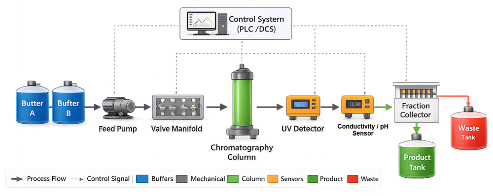 High-level schematic of a chromatography skid showing buffer tanks, pumps, automated valve manifold, column, inline detectors, fraction collector, and waste routing in a GMP purification system.