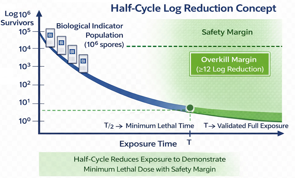 Log reduction curve diagram showing biological indicator population decrease over exposure time, highlighting half-cycle validation point and overkill safety margin.