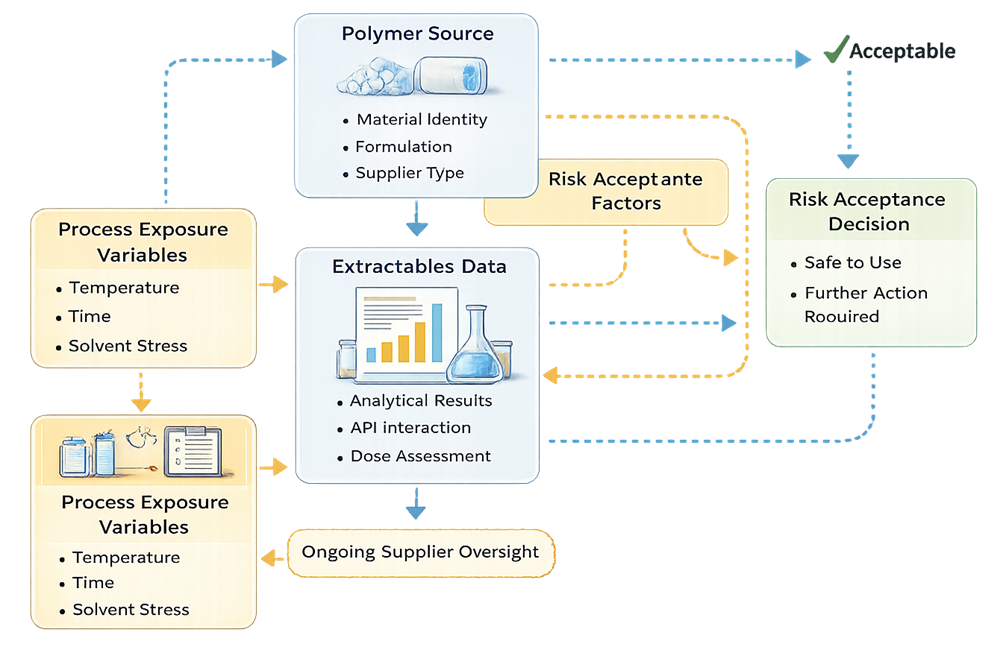 Extractables risk assessment model showing polymer source, process exposure variables, extractables data, toxicological assessment, and final risk acceptance decision pathway.
