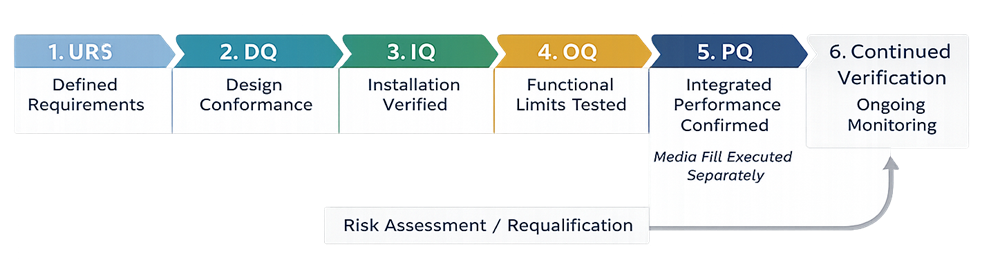 Linear fill line qualification lifecycle model showing sequential phases of URS, DQ, IQ, OQ, PQ, and Continued Verification with feedback loop to risk assessment and requalification, and media fill referenced at the performance qualification stage.