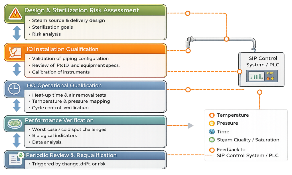 Steam-in-Place utility system qualification lifecycle showing design, IQ, OQ, performance verification, routine monitoring, and requalification