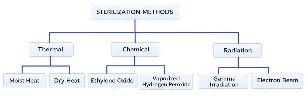 Diagram classifying sterilization methods into thermal, chemical, and radiation categories with common pharmaceutical applications.