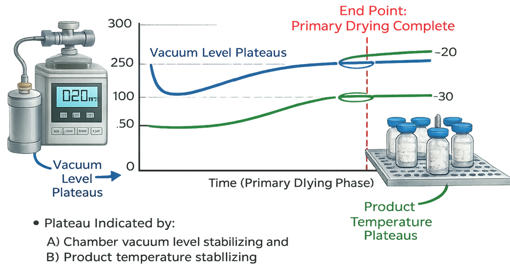 Diagram showing convergence of Pirani and capacitance manometer readings indicating primary drying completion.